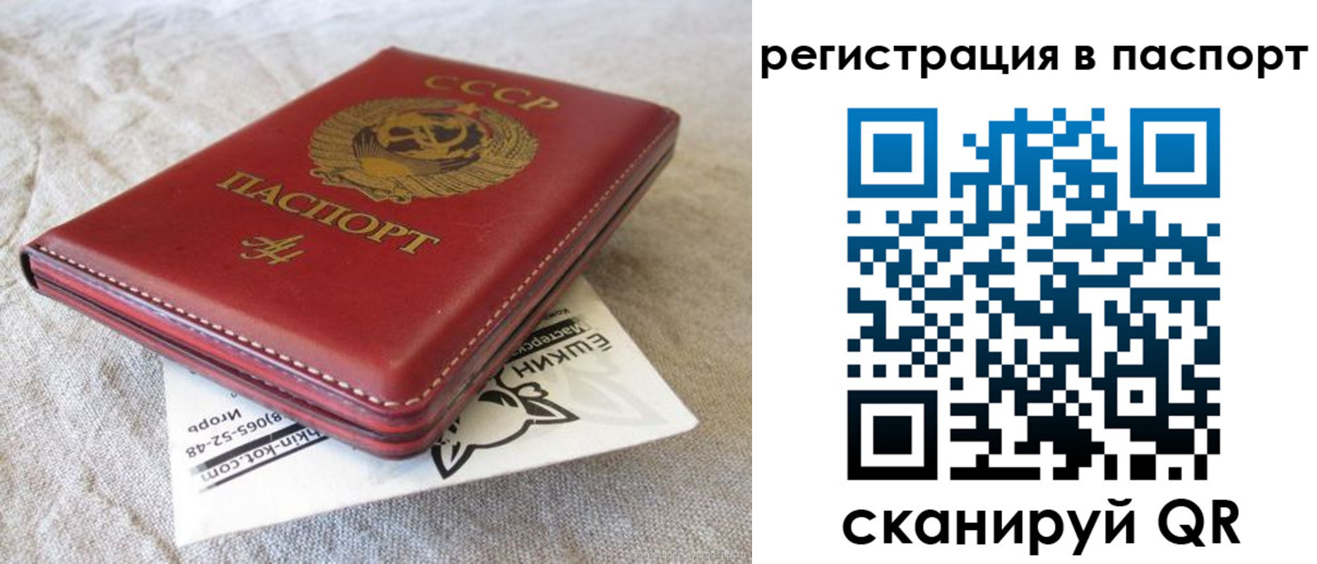 где прописаться в Елизово